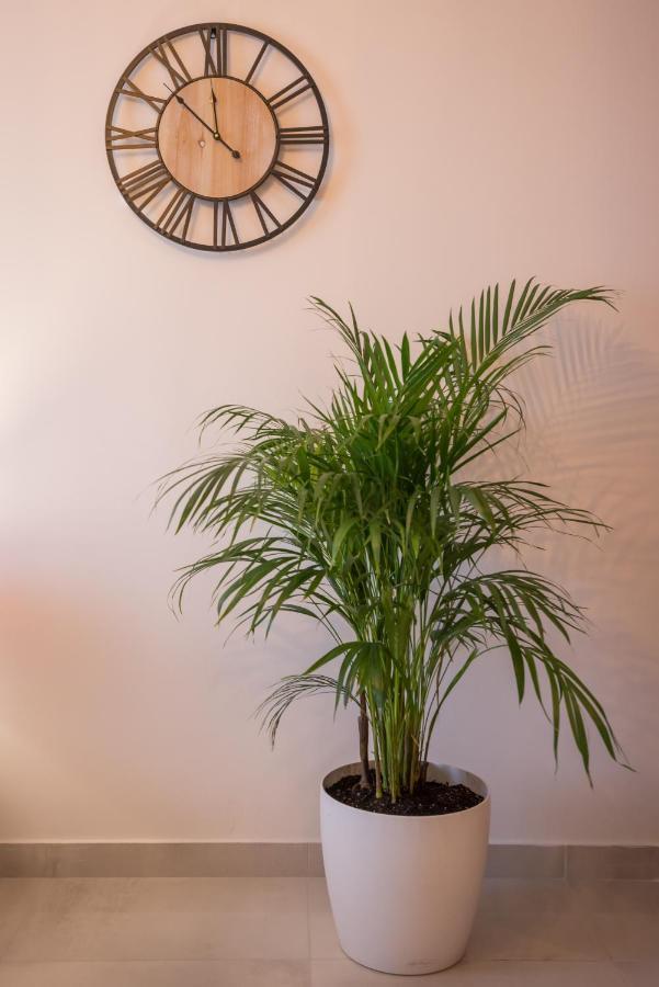 Vonitsa Luxury Apartments ภายนอก รูปภาพ